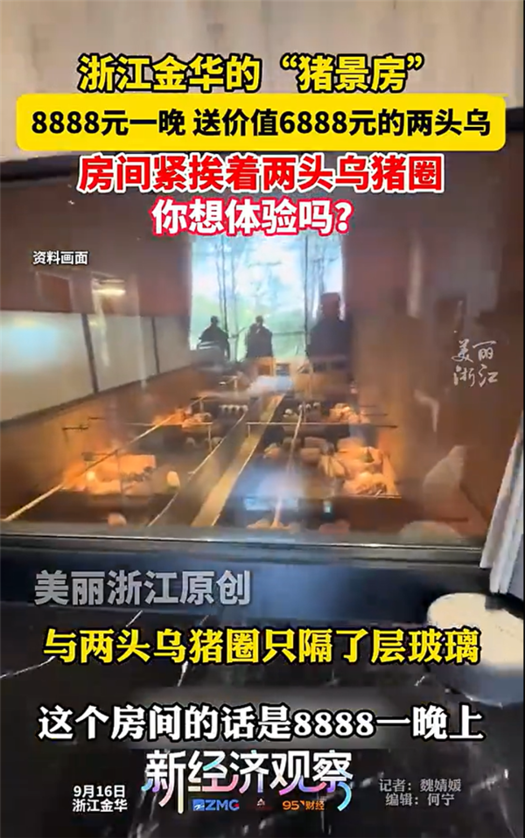 牧场推出猪景房：一晚售价8888元 还送价值6888元的两头乌