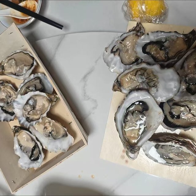 在家复刻米其林刺身🦪正品吉娜朵生蚝