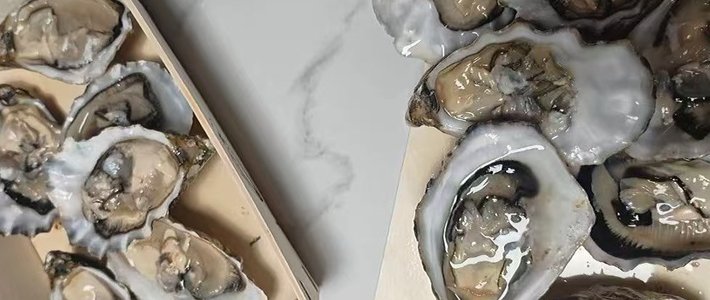 在家复刻米其林刺身🦪正品吉娜朵生蚝