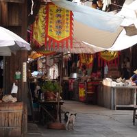 兰溪早茶街隔壁的镇博物馆，一台相机值 1280 万，居然不收门票？