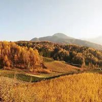 液态胶原蛋白肽哪个牌子好？十款产品按配方类型与适用场景盘点