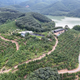 榴莲自由来了？先别急，真相和你想的不太一样