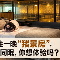 8888元住一晚“猪景房”，近距离与猪同眠，你想体验吗？