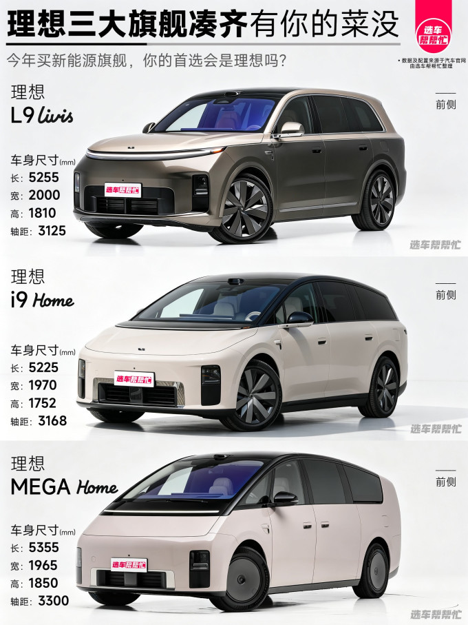 理想新能源车