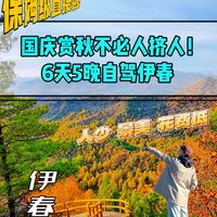 国庆反向旅游!自驾伊春保姆级攻略,人少景美花费低🍁