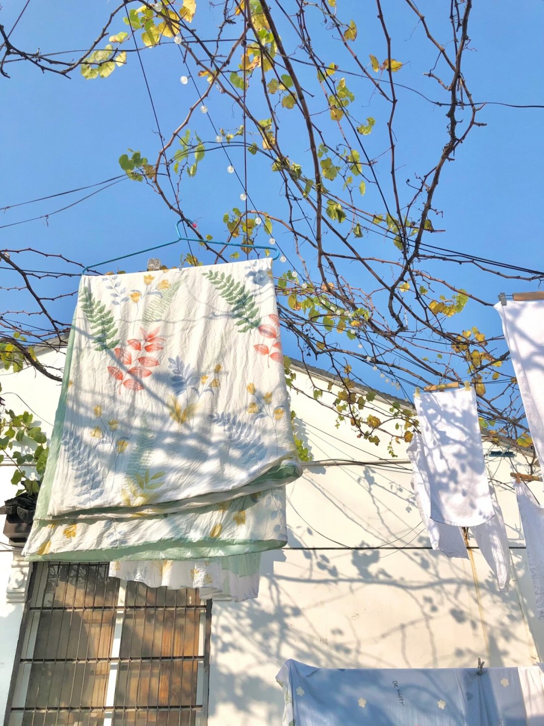 换季翻出的被子一睡就打喷嚏?别急着晒被拍打,更别抄「除螨喷雾+除螨包」:先搞懂杀螨≠除螨,再决定热水洗、烘干、控湿还是买除螨仪