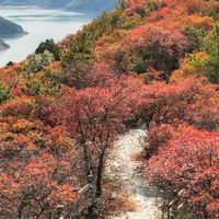 国庆前第一件徒步贴身层：别急着信「纯棉是杀手」或无脑上「美利奴」，先把「出多少汗、湿了会怎样、花多少钱」三笔账算清