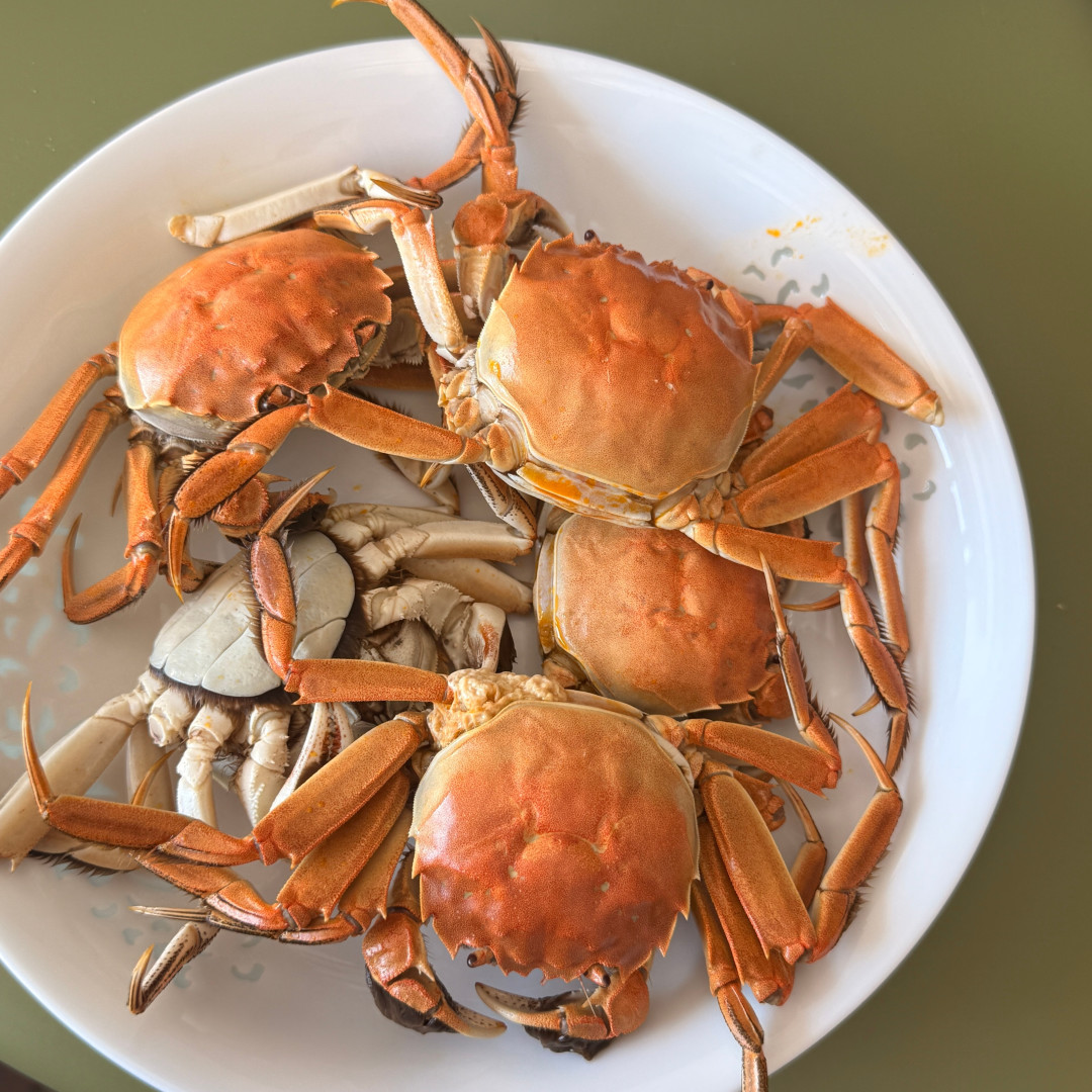 中秋家宴的第一口东北蟹,现在下单是抄底还是抄错:今年稻田蟹的时间表、每两单价和