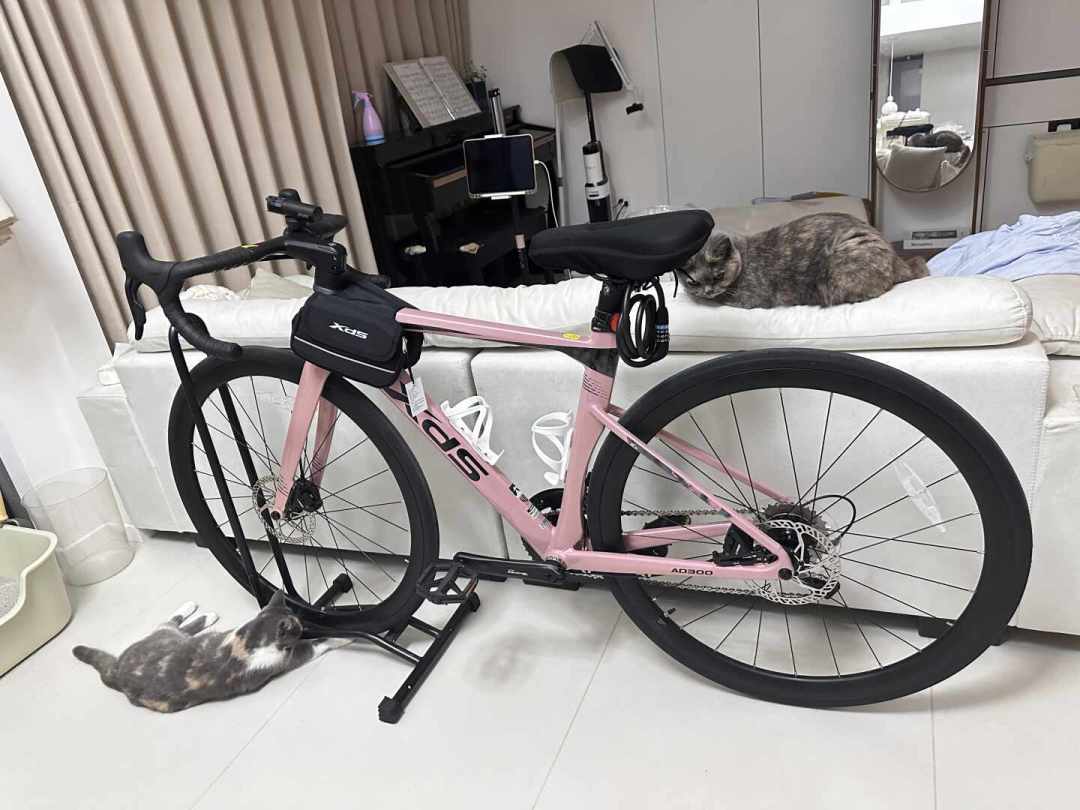 153到161的女骑卡在同一个门槛上：喜德盛450还是480，我把库存、退换和手腕的三本账对完了