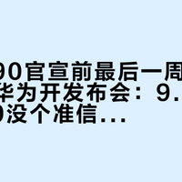 Mate90官宣前最后一周，全网都在替华为开发布会：9.23还是9.29没个准信，渲染图里混着AI假图，配色清单倒是先流全了——等机的四类人把三笔账对完再决定