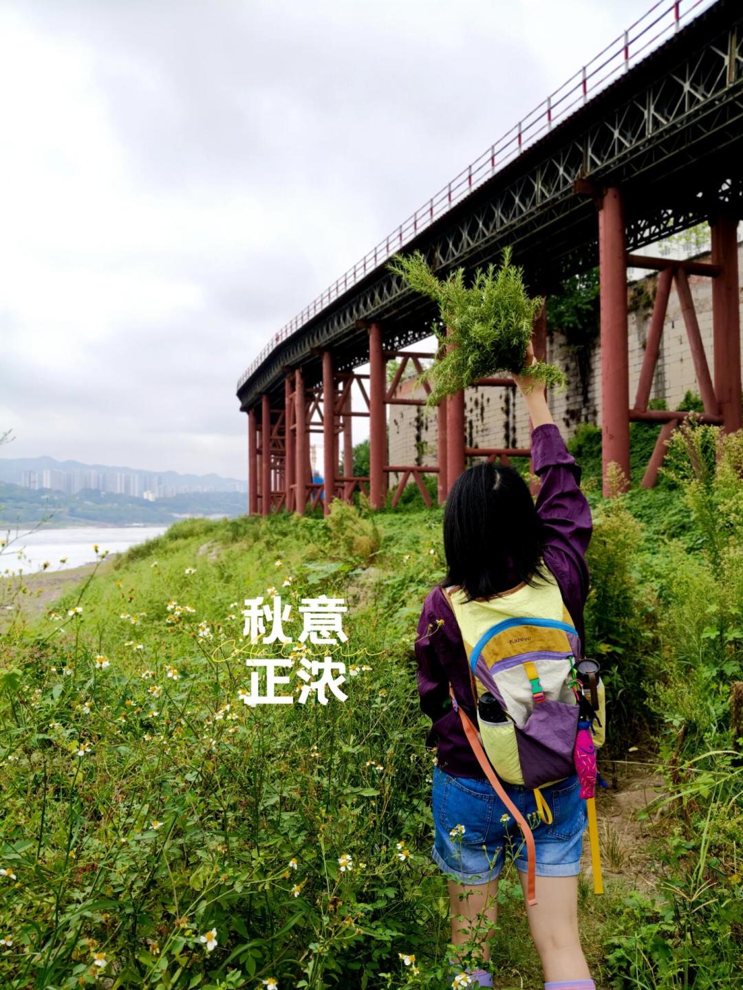九月又刷屏的「公园20分钟效应」,它引用的