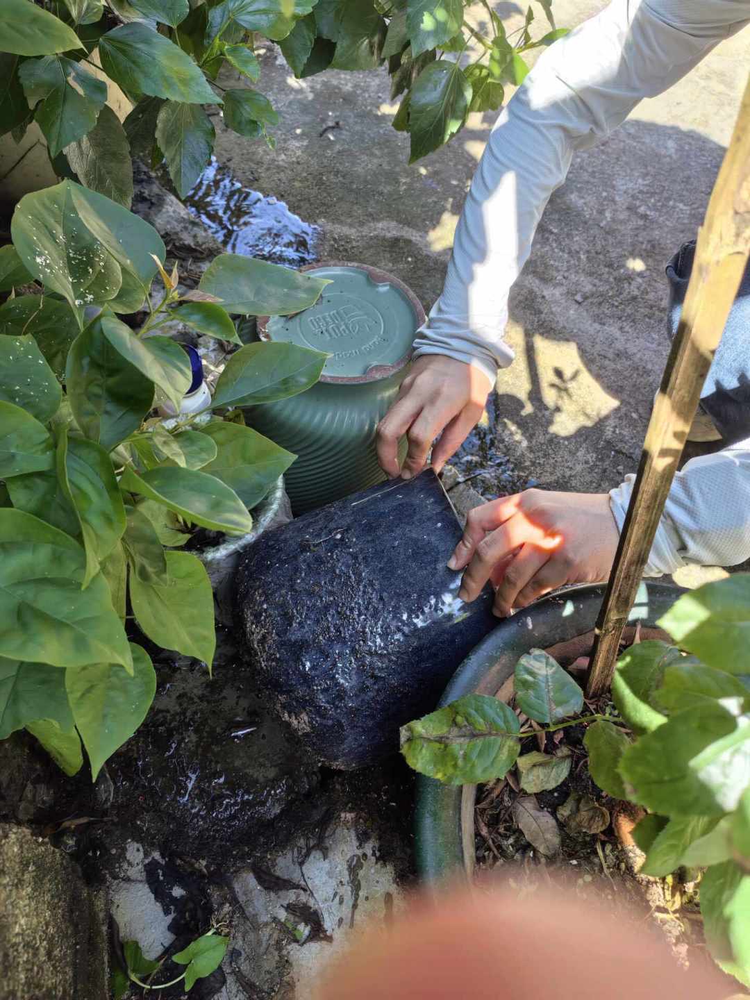 秋蚊子咬得比夏天狠?别急着信「无毒母婴款」,也别整晚插着电蚊香液:先查 WP 证号和「菊酯」成分,再看家里有猫、孕妇还是婴儿,决定照常通风用、换蚊帐电蚊拍,还是先把积水倒了