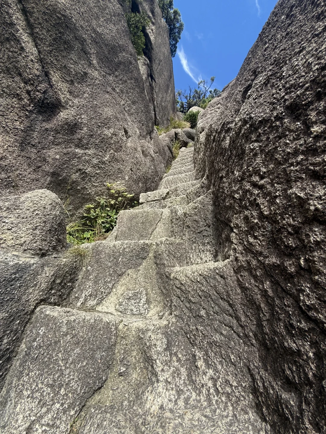 国庆进山前,先过“预约关”:天都峰9点秒没、梵净山约到5287号却只叫到2100——这份放票时刻表,比登山杖更早决定你玩什么