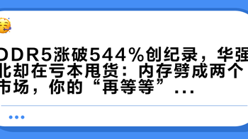 DDR5涨破544%创纪录，华强北却在亏本甩货：内存劈成两个市场，你的“再等等”到底在等什么