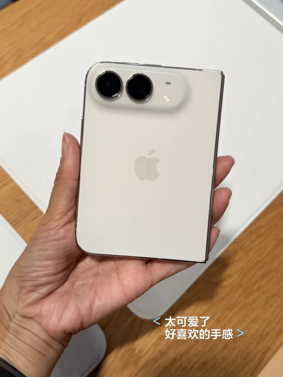 iPhone Duo反掰闪屏上热搜,“魅族前高管”李楠反问评测者:煤油先别急着站队,这三本账先对完