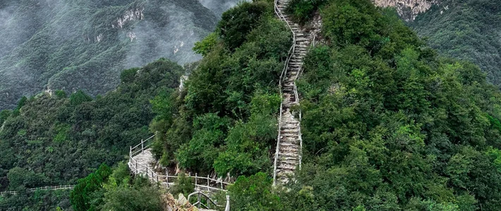 带娃进山护眼，荫凉步道可能