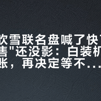 致态×吹雪联名盘喊了快70天