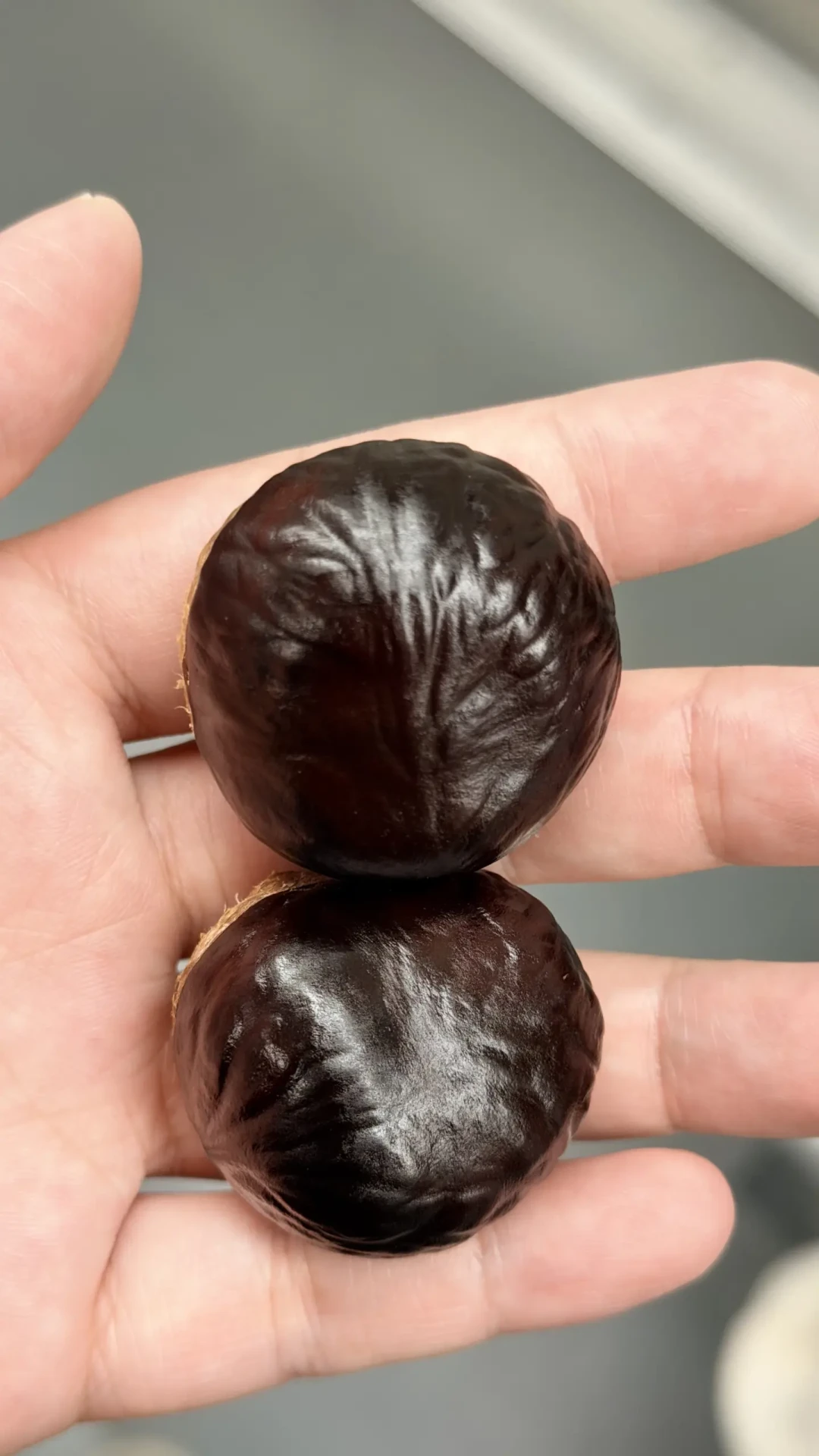 被《意林》小作文骗了二十年,这周照进现实:欧洲