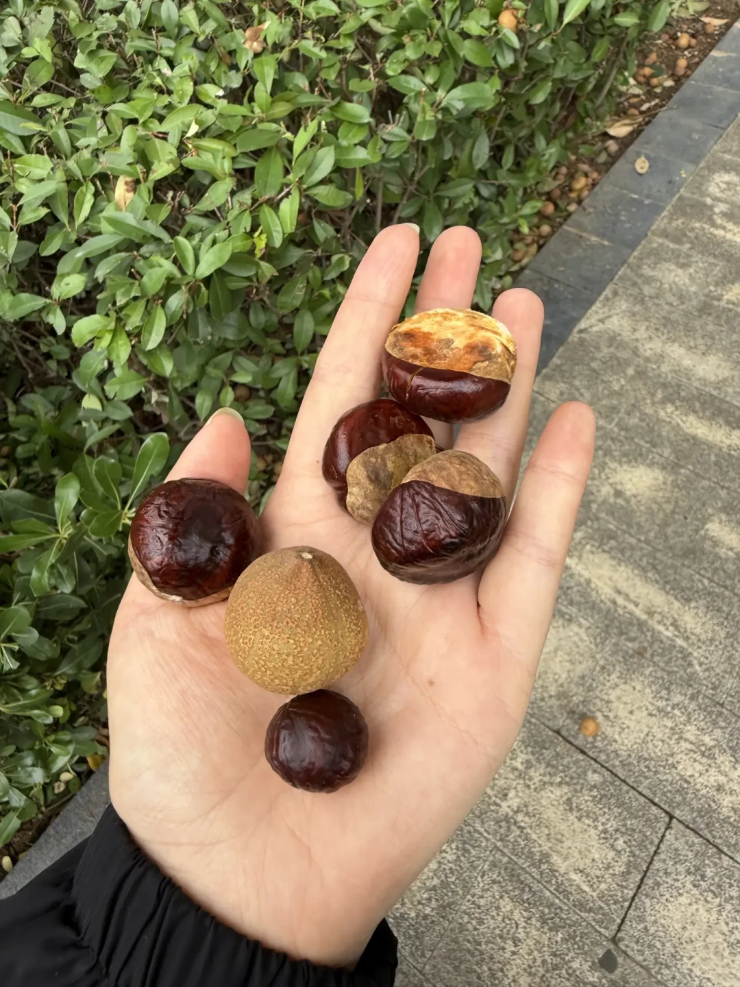 被《意林》小作文骗了二十年,这周照进现实:欧洲