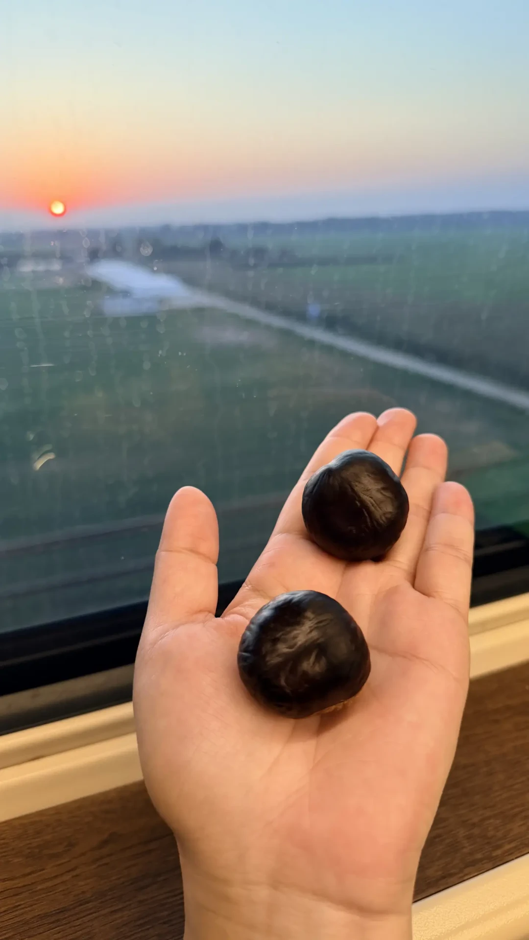 被《意林》小作文骗了二十年,这周照进现实:欧洲