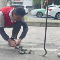 撬出10万赞的拔钉视频根本没用电动工具：威克士党想去拔钉上班，先把这四笔账排清