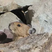 去年10/3还在peak、今年9/29封峰：国庆美西赏秋，先把色峰、预约、封路三本账对完