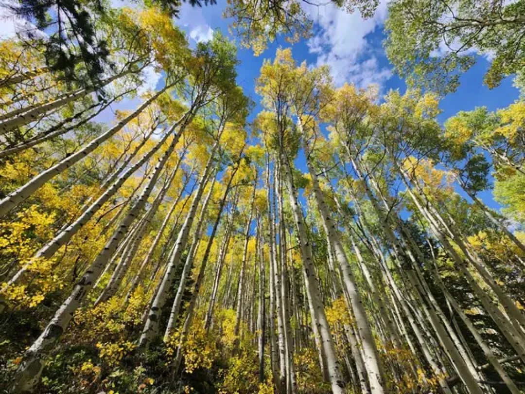 去年10/3还在peak、今年9/29封峰：国庆美西赏秋，先把色峰、预约、封路三本账对完