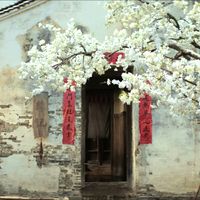 《一瓯春》今晚开播：首日广告挂过零、热度一边涨不动一边冲900万，和《兰香如故》二选一前，先对完这四笔账