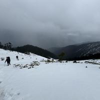 国庆前第一根登山杖：别急着信「碳纤维更高级」或赌「一根够用」，先把「走什么路、锁不锁得住、带不带得上飞机」三笔账算清