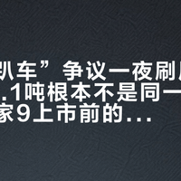 叠塔“趴车”争议一夜刷屏：17吨和18.1吨根本不是同一场考试，梦想家9上市前的账要分开算