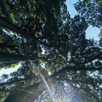 「李白根本没爬诗里的蜀道」114万播放的视频：诗里蜀道确实不是他走过的那条路，四种寓意两说卡死在时间线上，"不与秦塞"常被抄成"秦楚"，剑阁新发6条古蜀道徒步线，能核的全核了一遍