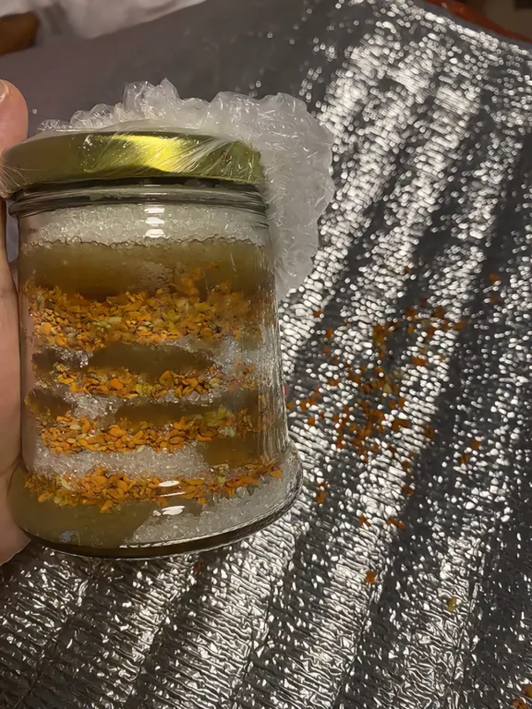 超市桂花酱被剧粉买断,小区桂花树被采花人围住:做第一杯桂花牛奶前,先认清四种“桂”