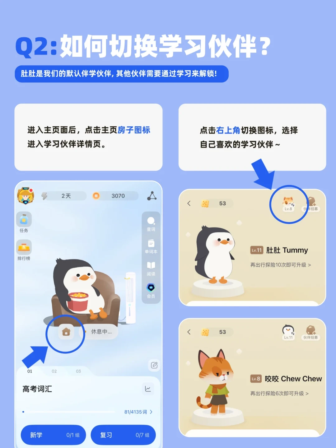 百词斩新版被一只企鹅分成两副面孔:iOS养猫收明信片,旧安卓连新版入口都摸不到——先看清设备分级和铜板账,再决定升还是退