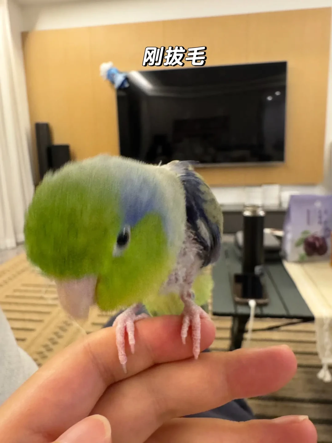 188元挂单都标着