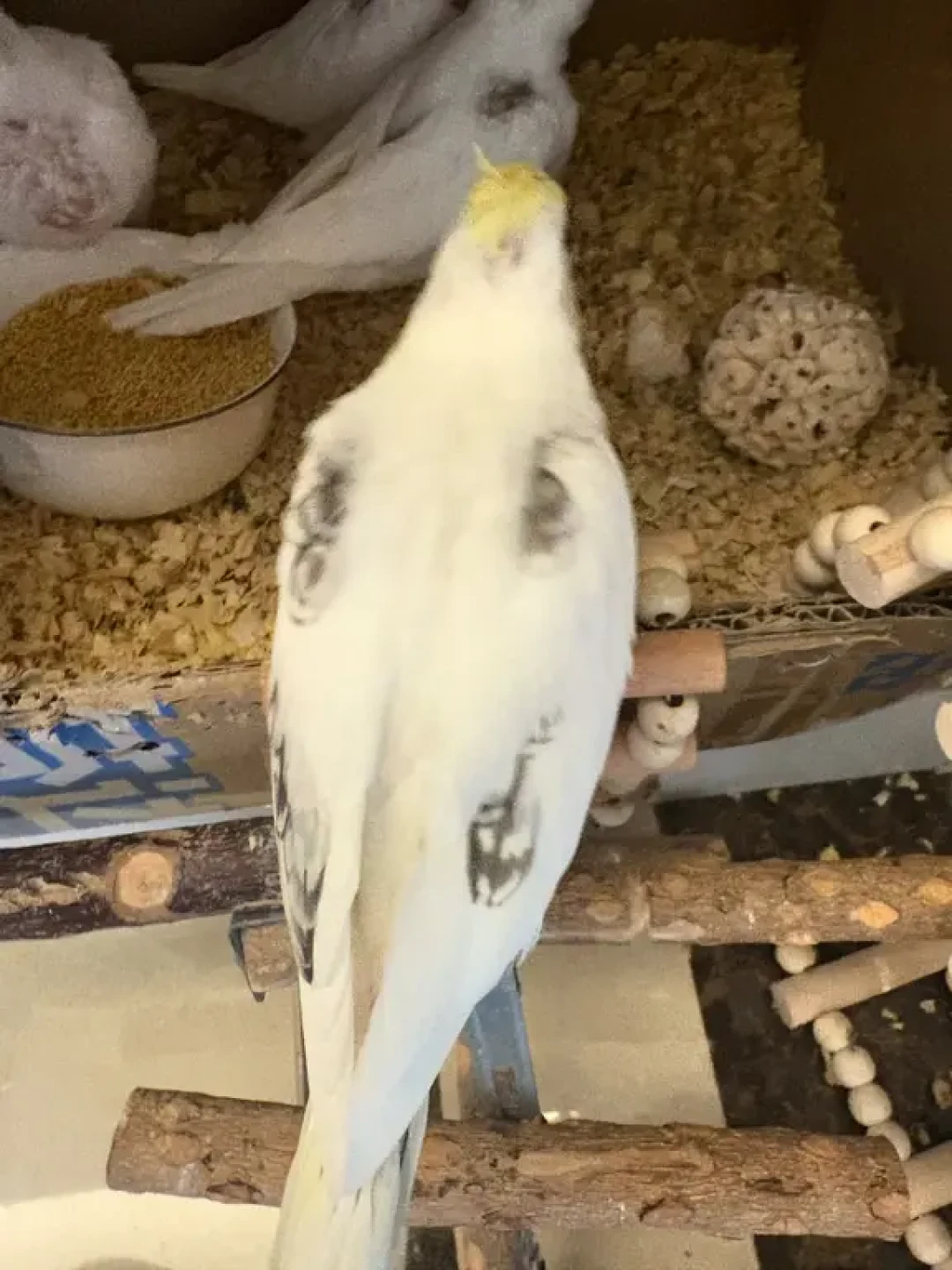 188元挂单都标着
