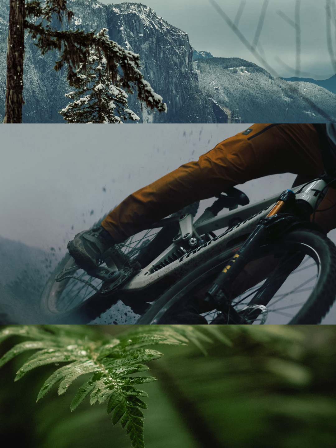 GoPro正式进M4/3阵营、大疆成同营成员:开章给的名分,公告没写的三件事决定你抽屉里的M43镜头能不能用