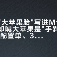 官方把"大苹果胎"写进M10卖点，全网却喊大苹果是"手刹"：对完M10配置单、3份换胎合订帖和两场对线，我把燕鸥的轮胎账拆清了