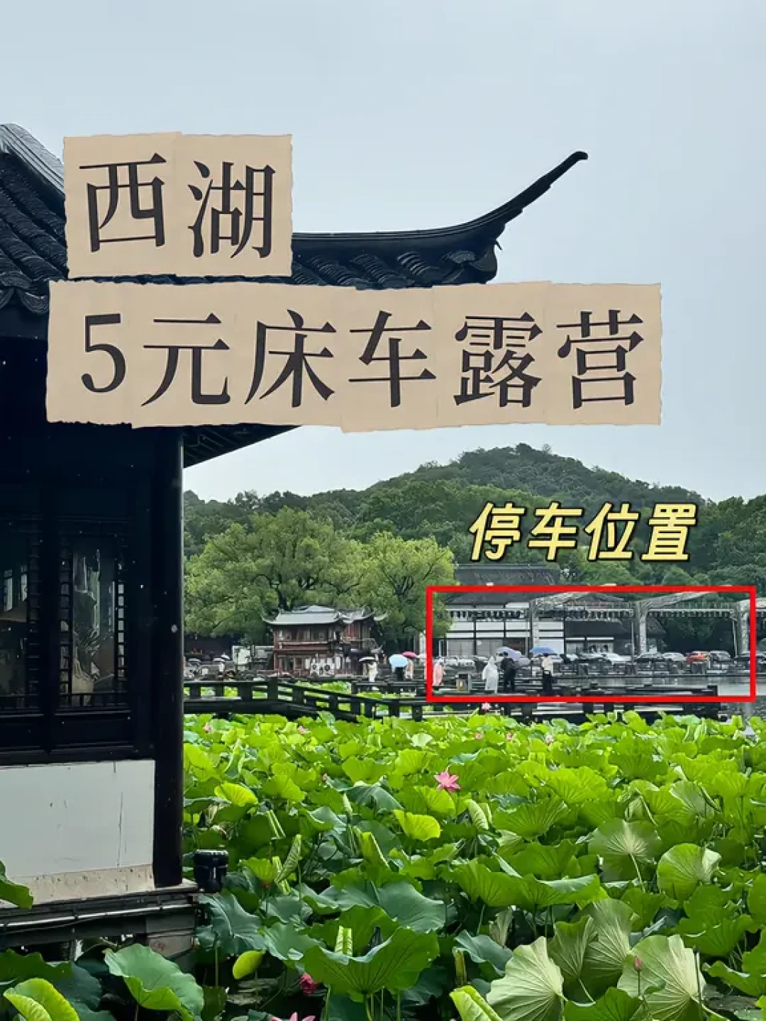 国庆带娃睡车前,先在你家小区试睡一晚:我把4个平台30多篇带娃床车成与败的对完了——睡不着的是值班的大人,真正的账藏在钟点房里