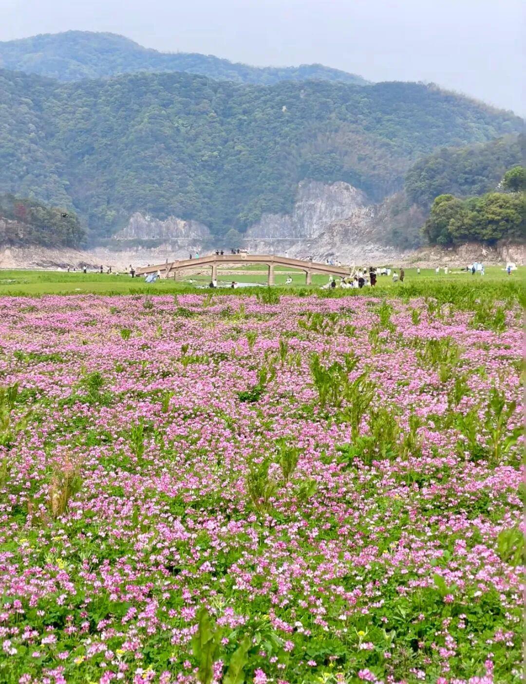 种草帖里的“莫奈弯道”,其实是一栋旧黄屋:对完30+篇私藏遛娃地避雷帖,中秋国庆带娃先过五道闸