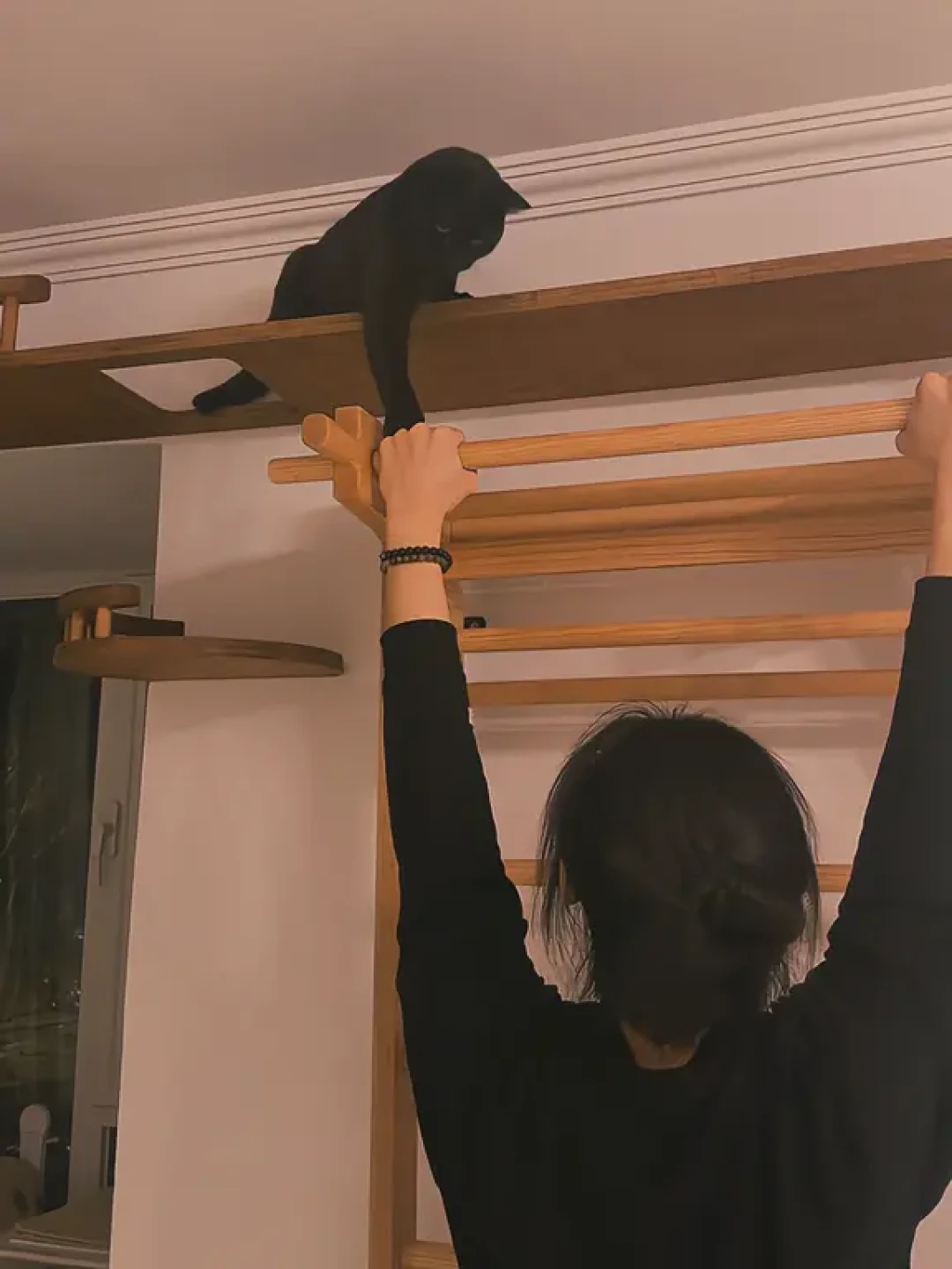 小户型的猫墙,本质是抢墙:我把11个实装案例摆开,能下手的只有三种墙