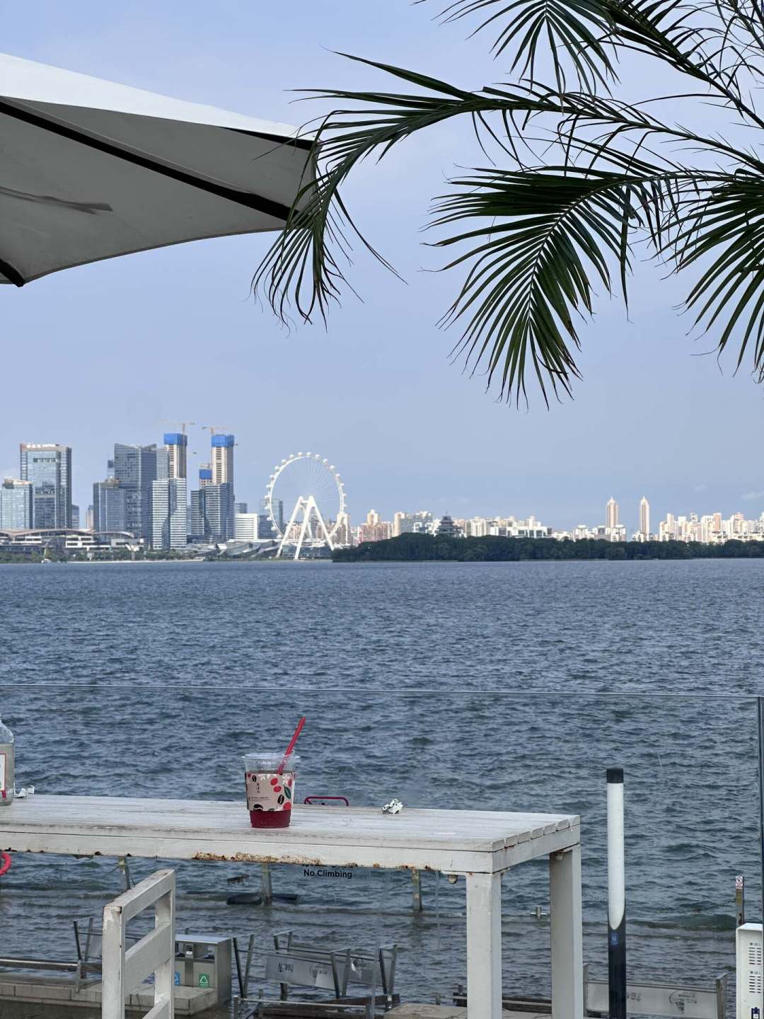 苏州火了两年的illy“海边店”:一杯30块到底值不值,先把这两年的夸和骂看完,答案不在咖啡里