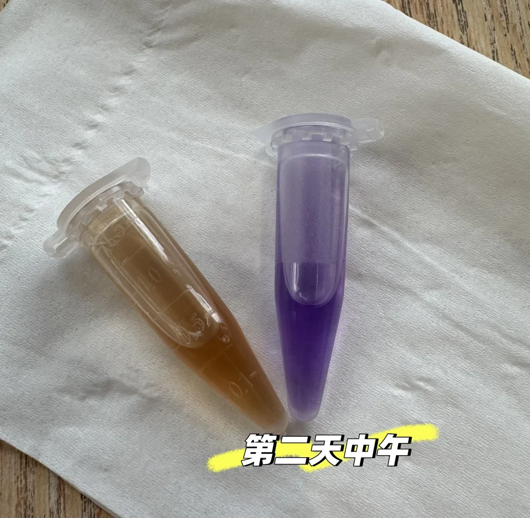 验真通过的“绿码”,保不住你手上那桶粉:9个月的ON假案摊开,这些验真信号你都靠不住