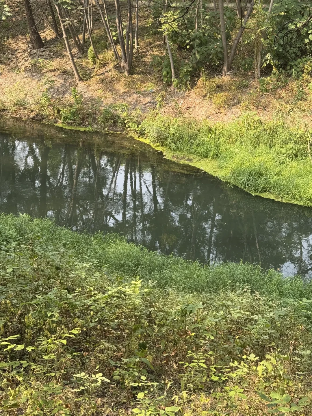 “黄金气压1015”刷屏这个月,四川钓友却在950hPa的“空军数值”里连竿:翻完4个平台,我发现这条口诀一半是生意
