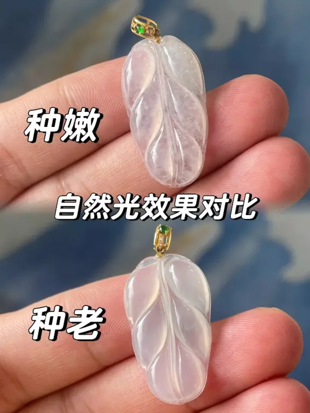 戴一年就发黄、起雾、变灰?我把三个平台的「变种」帖对完了:先分清是脏了、蜡掉了,还是真变种