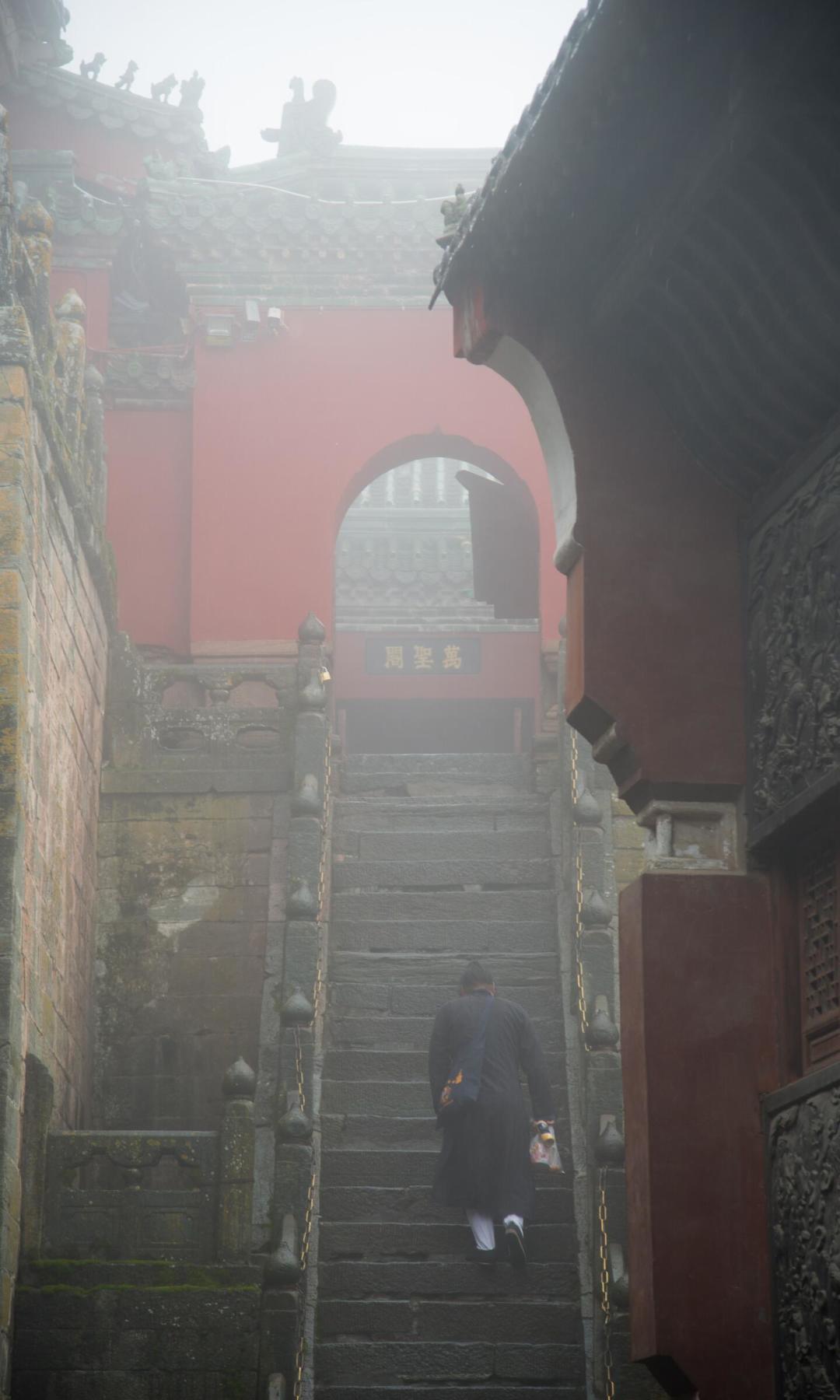 贾静雯一句
