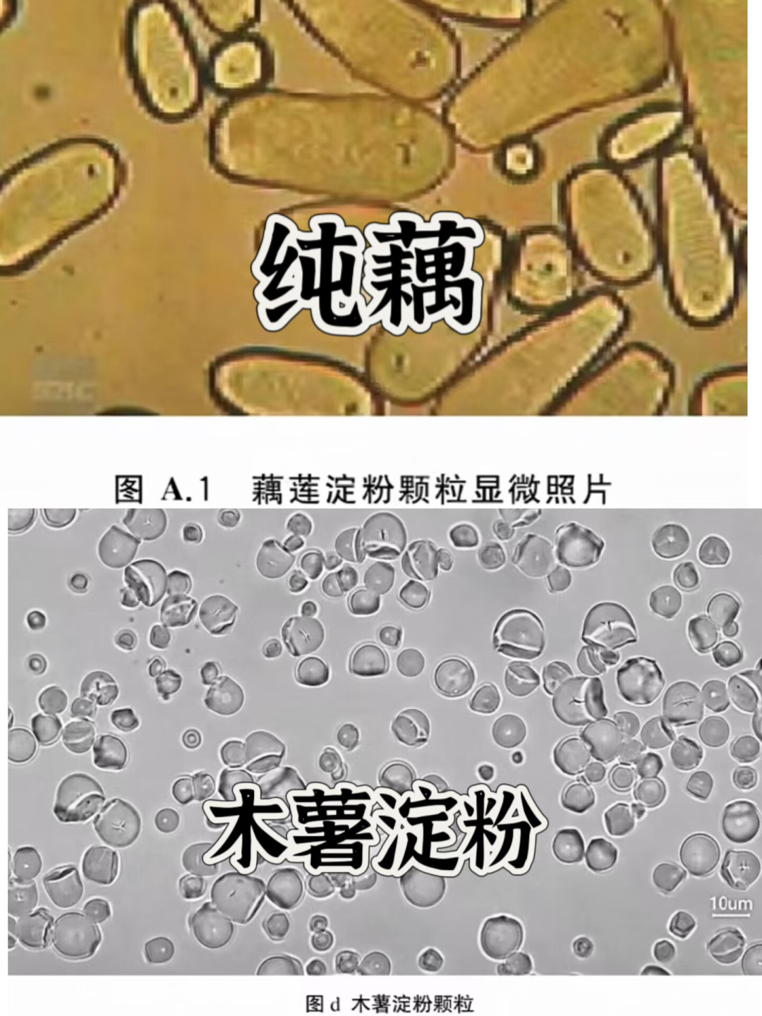 「藕粉掺木薯」被官方认定不成立,爆料的打假主播已涉黑被抓——新藕下田、中秋将至,买藕粉先把三笔账对齐:配料表和执行标准GB/T 25733认身份,10斤+藕出1斤粉算成本,冲出来发白别急着当假粉;今年6月、9月两起「纯藕粉」抽检不合格,栽的是卫生,不是「有没有藕」