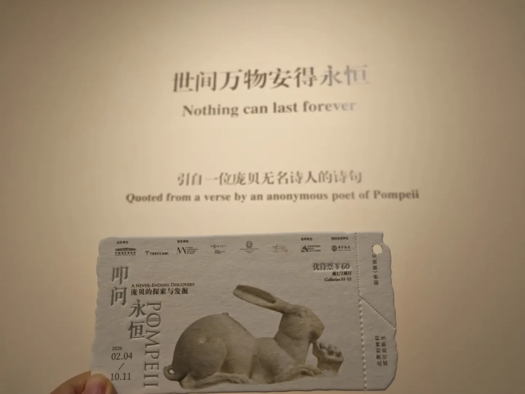 120元的庞贝展票又“约满”了：国博这个秋天最争议的进门路子，谁适合冲，谁该绕