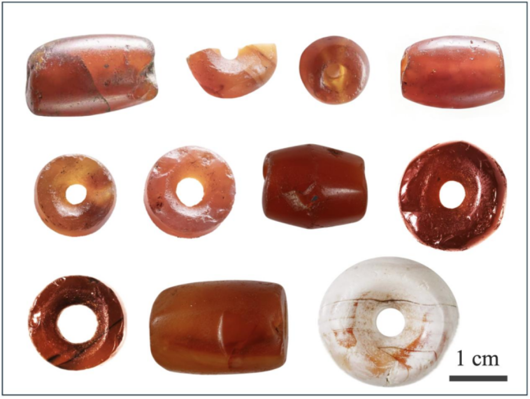 陨铁、红珠和一只被拆开的尊:2026年的三星堆,把评论区吵了五年的事说清了一截