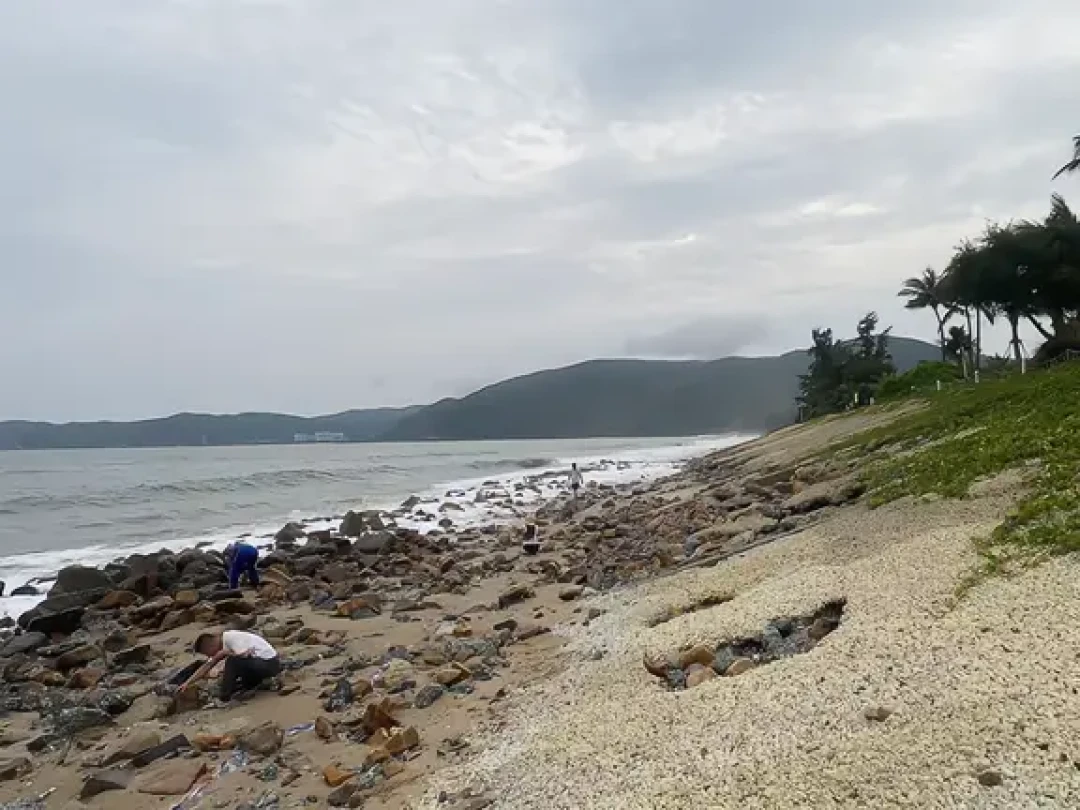 沙滩没了、房券转让刷屏、管家服务看运气:翻完8月19日到9月17日这波三亚丽思的避雷帖和护帖,我把楼型、渠道、价格三本账一次摆开