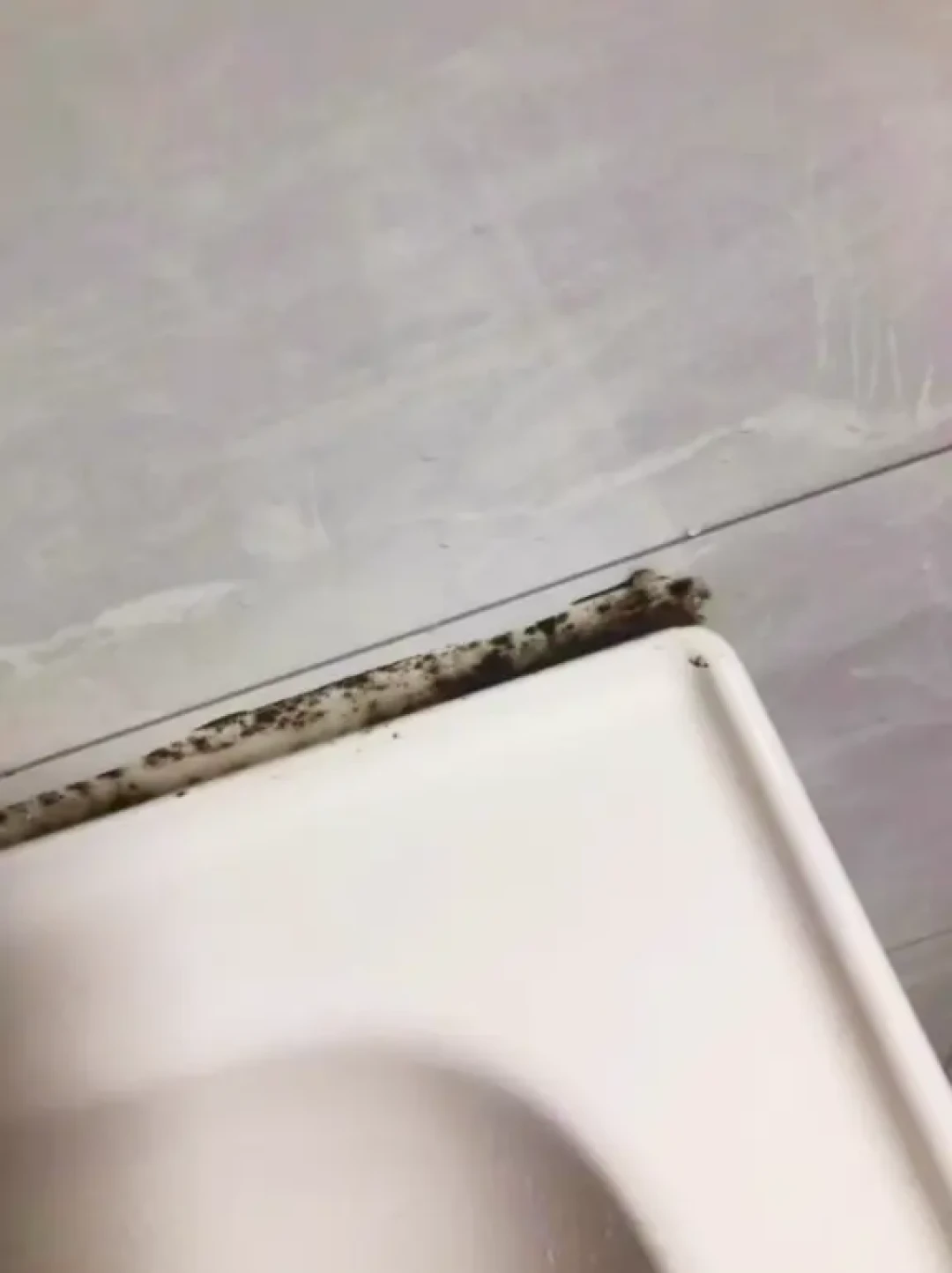 水槽边、马桶底的玻璃胶长黑霉?别急着下单除霉啫喱,更别信「涂上一晚自动消失」:先看胶老没老化、霉在表面还是扎了根,再决定刷、敷、铲掉重打还是请人